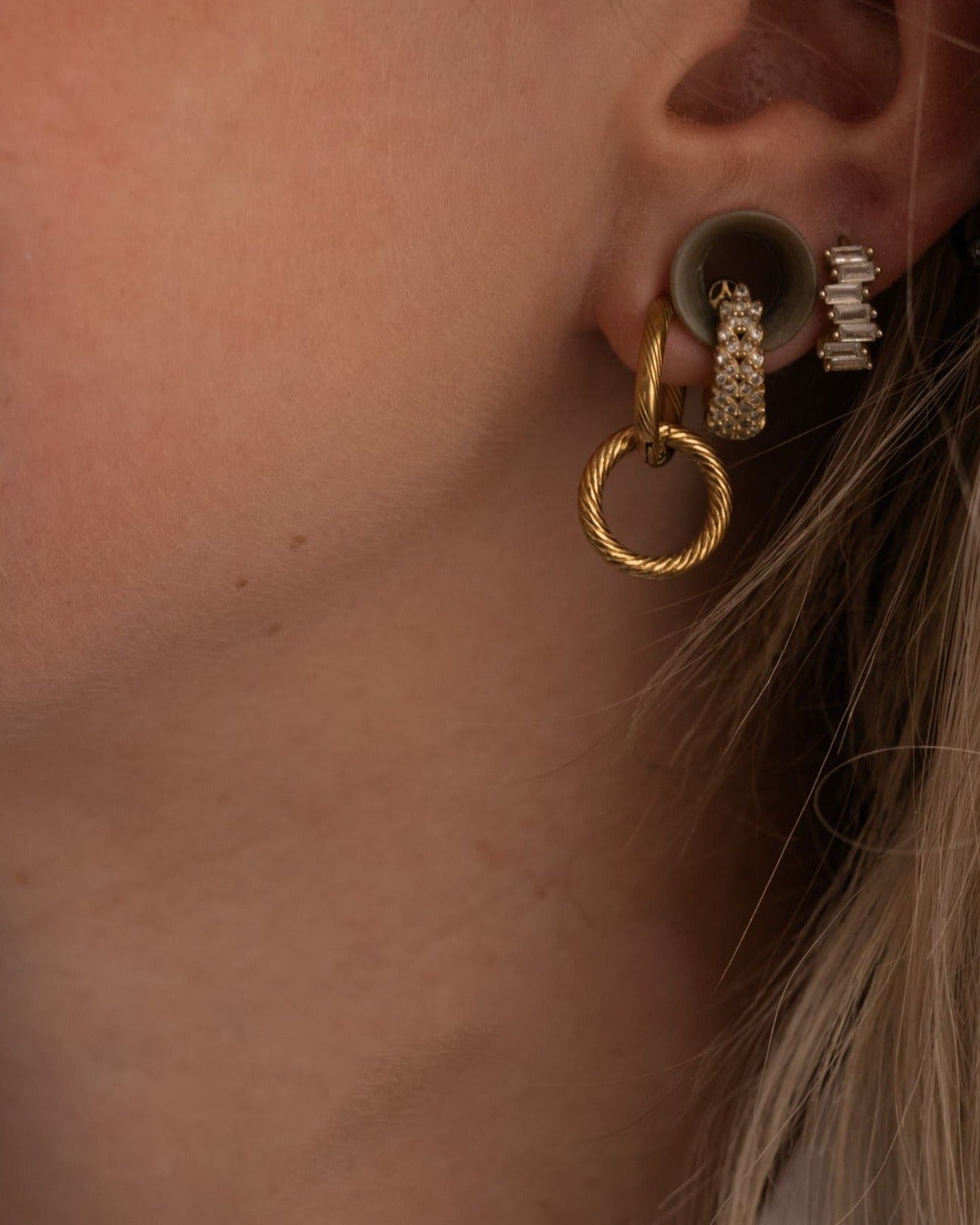 Double Hoops Ohrringe