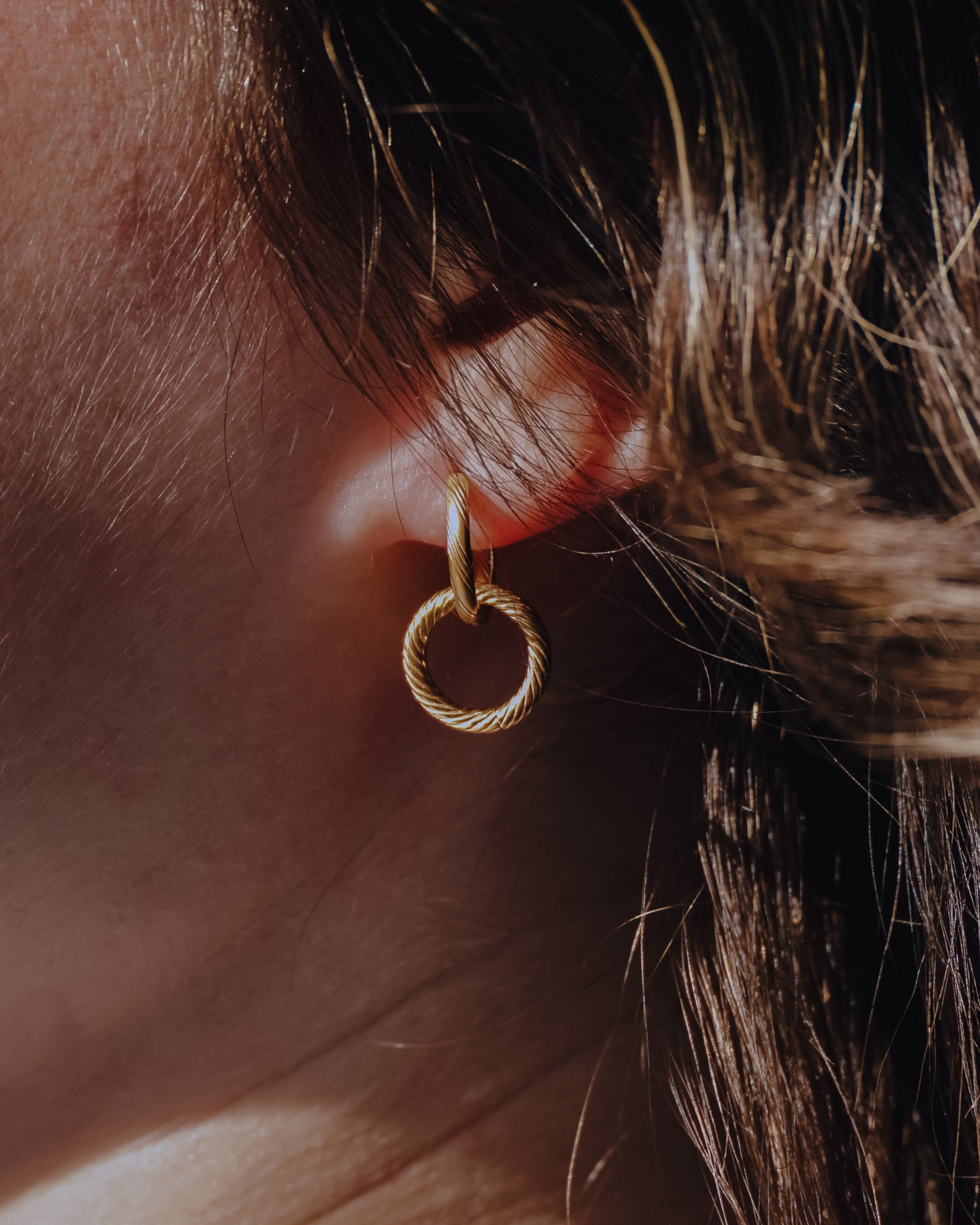 Double Hoops Ohrringe