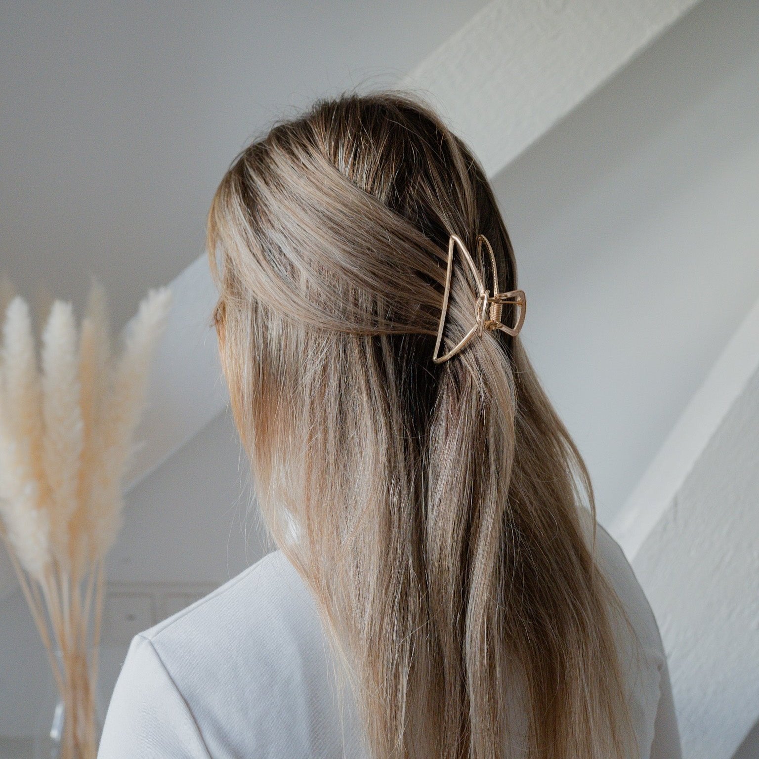 NALA Clip